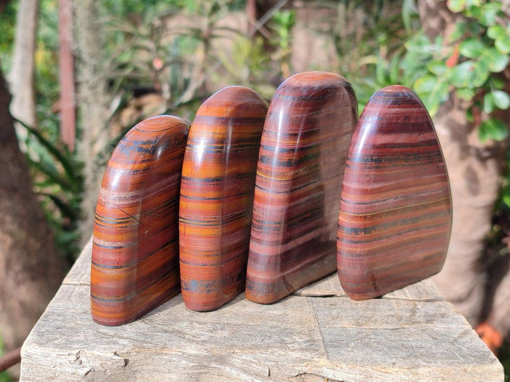 Polished Banded Tiger Iron Standing Display Pieces x 4 From South Africa - Toprock Gemstones and Minerals 