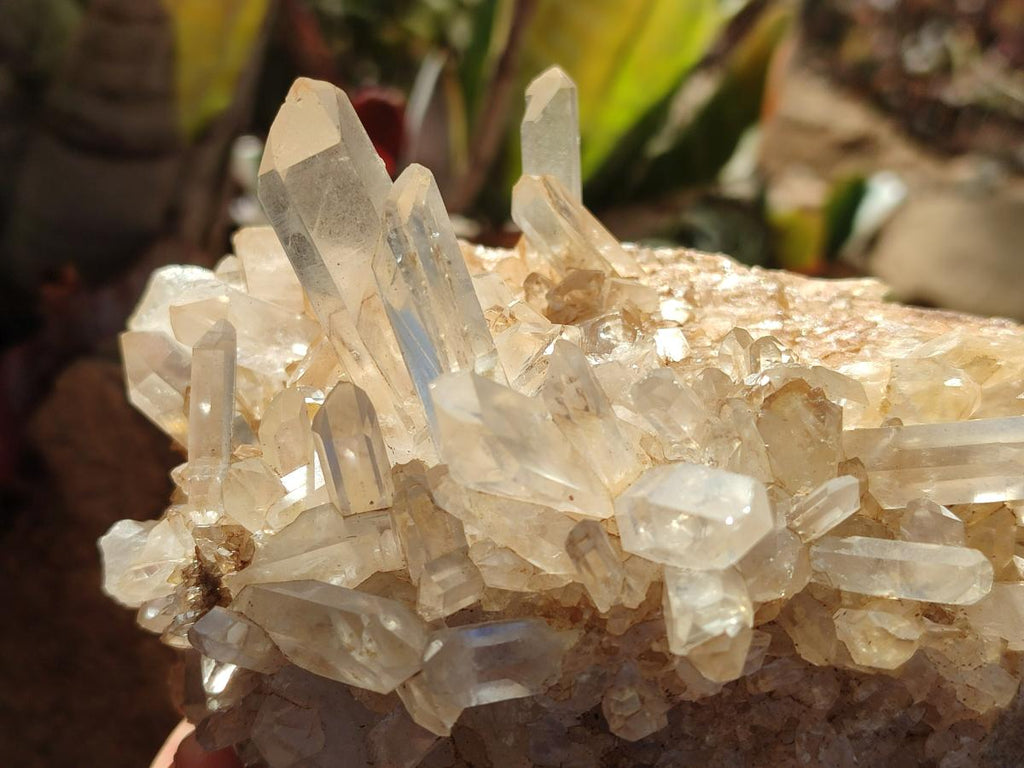 Natural Malagasy Quartz Clusters x 6 From Madagascar - Toprock Gemstones and Minerals 