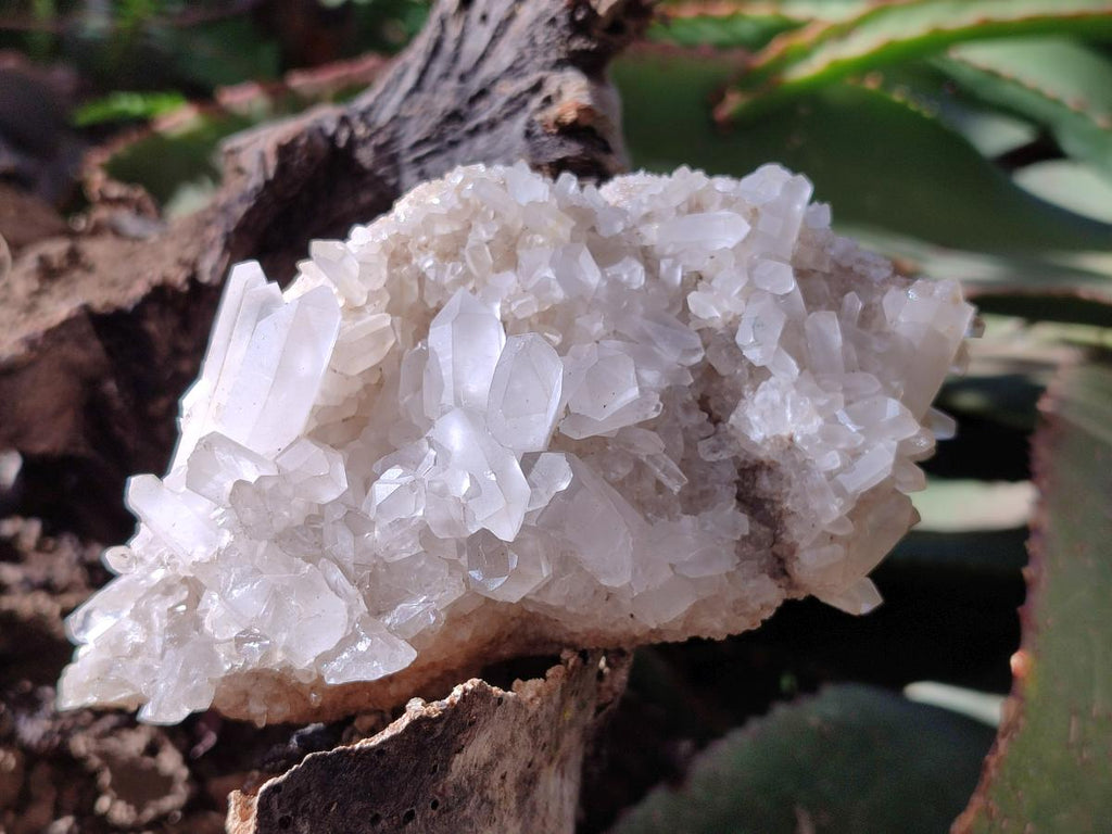 Natural Malagasy Quartz Clusters x 6 From Madagascar - Toprock Gemstones and Minerals 