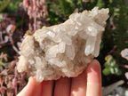 Natural Malagasy Quartz Clusters x 6 From Madagascar - Toprock Gemstones and Minerals 