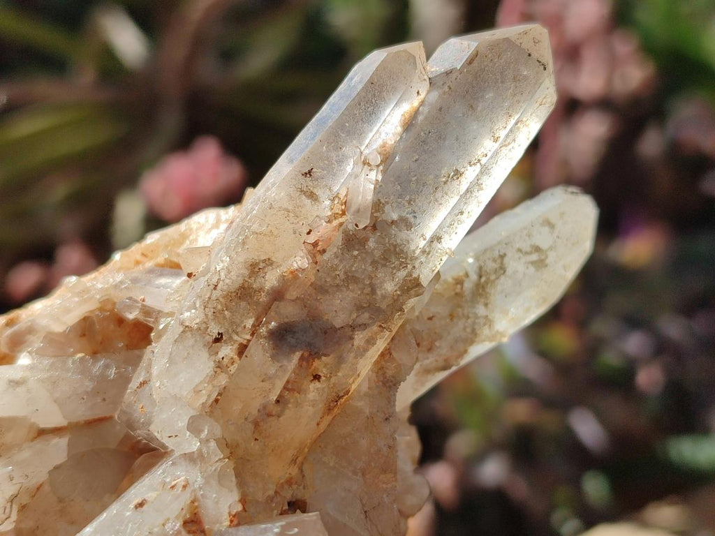 Natural Malagasy Quartz Clusters x 6 From Madagascar - Toprock Gemstones and Minerals 