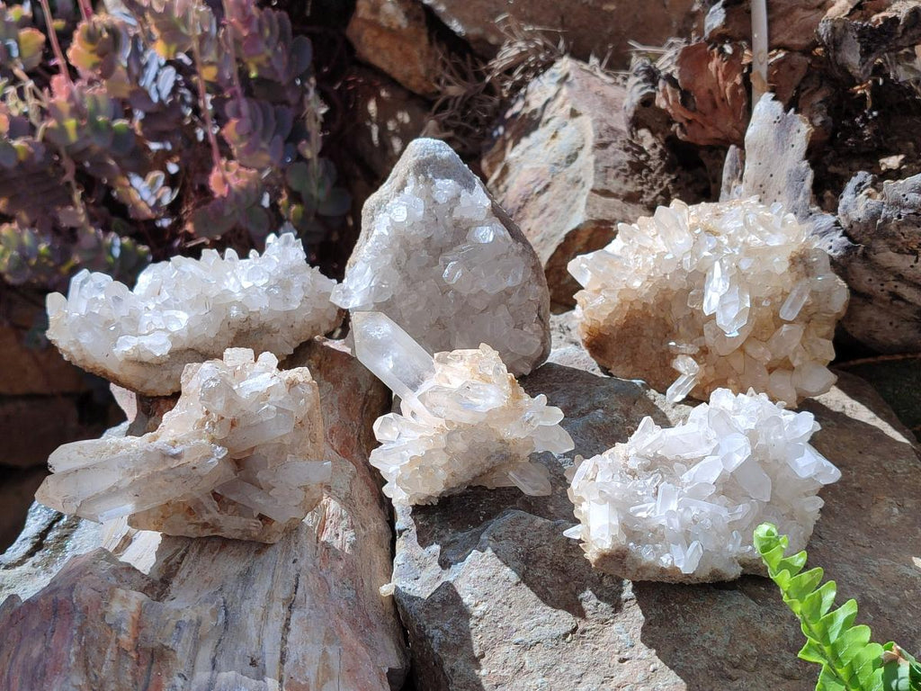 Natural Malagasy Quartz Clusters x 6 From Madagascar - Toprock Gemstones and Minerals 