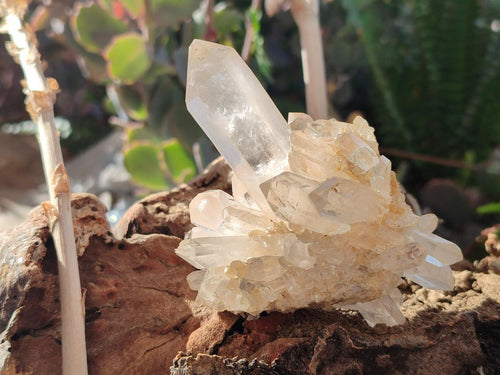 Natural Malagasy Quartz Clusters x 6 From Madagascar - Toprock Gemstones and Minerals 