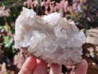 Natural Malagasy Quartz Clusters x 6 From Madagascar - Toprock Gemstones and Minerals 