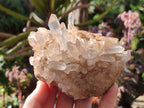 Natural Malagasy Quartz Clusters x 6 From Madagascar - Toprock Gemstones and Minerals 