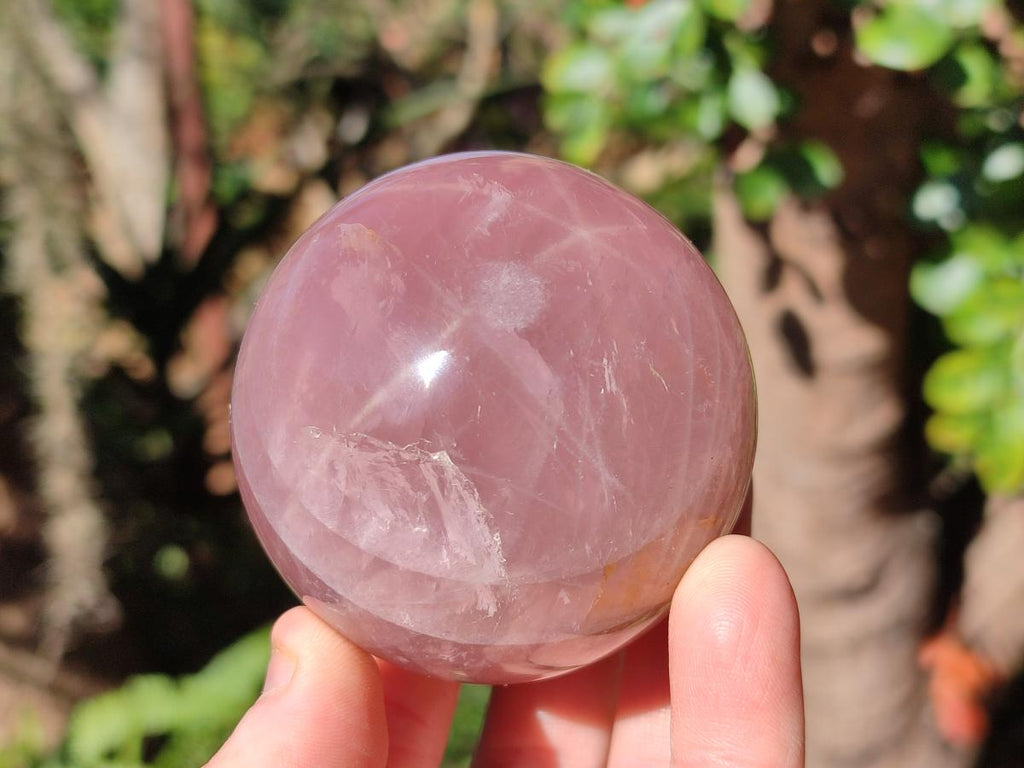 Polished Gemmy Star Rose Quartz Spheres x 4 From Madagascar - Toprock Gemstones and Minerals 