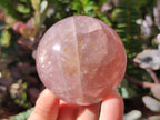 Polished Gemmy Star Rose Quartz Spheres x 4 From Madagascar - Toprock Gemstones and Minerals 
