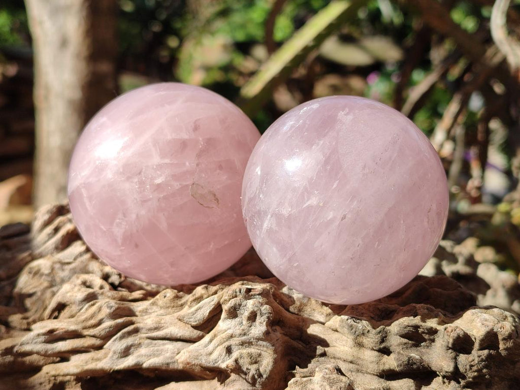 Polished Gemmy Star Rose Quartz Spheres x 4 From Madagascar - Toprock Gemstones and Minerals 