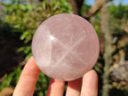 Polished Gemmy Star Rose Quartz Spheres x 4 From Madagascar - Toprock Gemstones and Minerals 