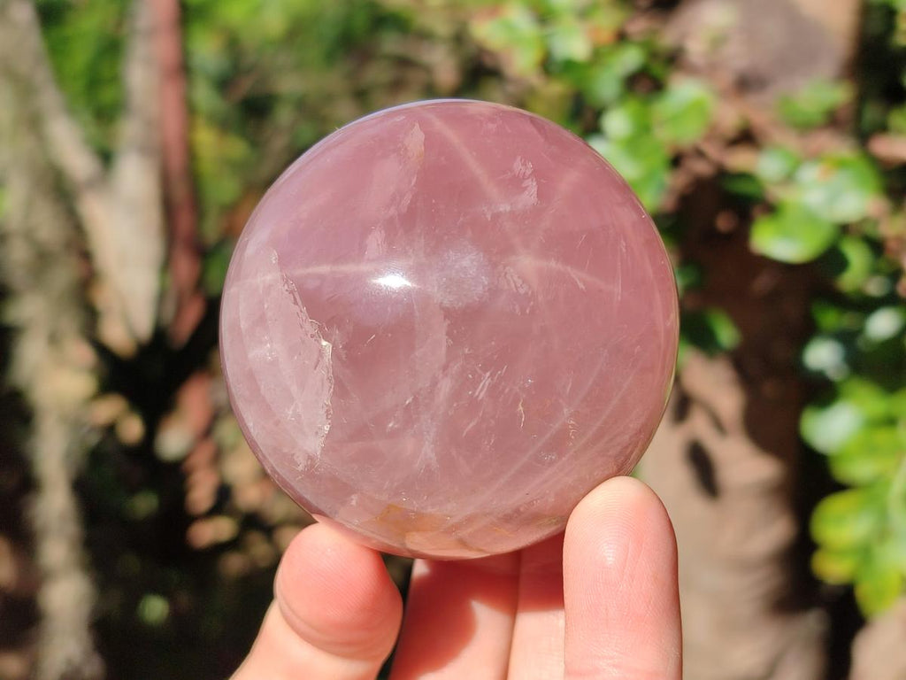 Polished Gemmy Star Rose Quartz Spheres x 4 From Madagascar - Toprock Gemstones and Minerals 