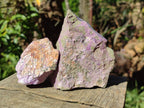 Natural Large Cobbed Stichtite Specimens x 9 From Barberton, South Africa - Toprock Gemstones and Minerals 