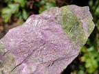 Natural Large Cobbed Stichtite Specimens x 9 From Barberton, South Africa - Toprock Gemstones and Minerals 