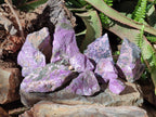 Natural Large Cobbed Stichtite Specimens x 9 From Barberton, South Africa - Toprock Gemstones and Minerals 