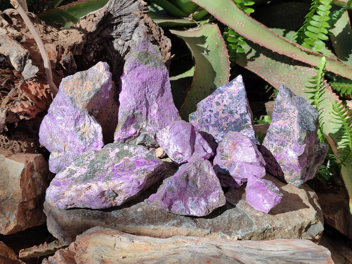 Natural Large Cobbed Stichtite Specimens x 9 From Barberton, South Africa - Toprock Gemstones and Minerals 