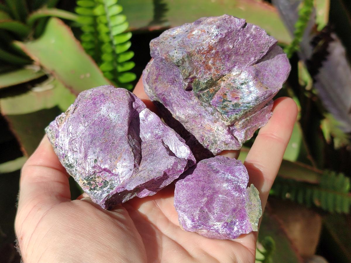 Natural Large Cobbed Stichtite Specimens x 9 From Barberton, South Africa - Toprock Gemstones and Minerals 
