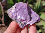 Natural Large Cobbed Stichtite Specimens x 9 From Barberton, South Africa - Toprock Gemstones and Minerals 