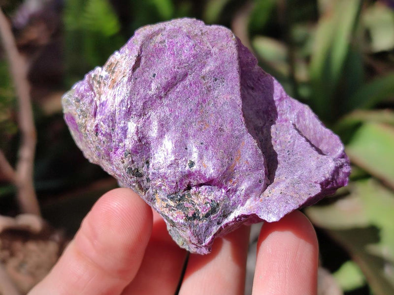 Natural Large Cobbed Stichtite Specimens x 9 From Barberton, South Africa - Toprock Gemstones and Minerals 