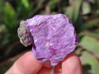 Natural Large Cobbed Stichtite Specimens x 9 From Barberton, South Africa - Toprock Gemstones and Minerals 