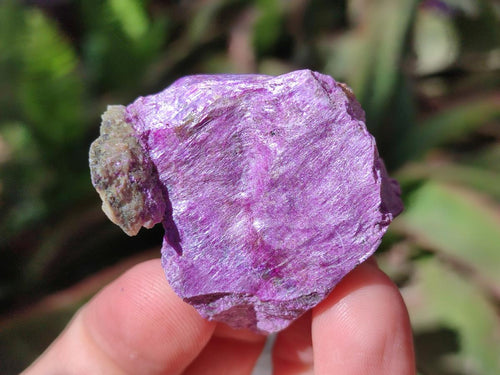 Natural Large Cobbed Stichtite Specimens x 9 From Barberton, South Africa - Toprock Gemstones and Minerals 