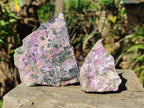 Natural Large Cobbed Stichtite Specimens x 9 From Barberton, South Africa - Toprock Gemstones and Minerals 