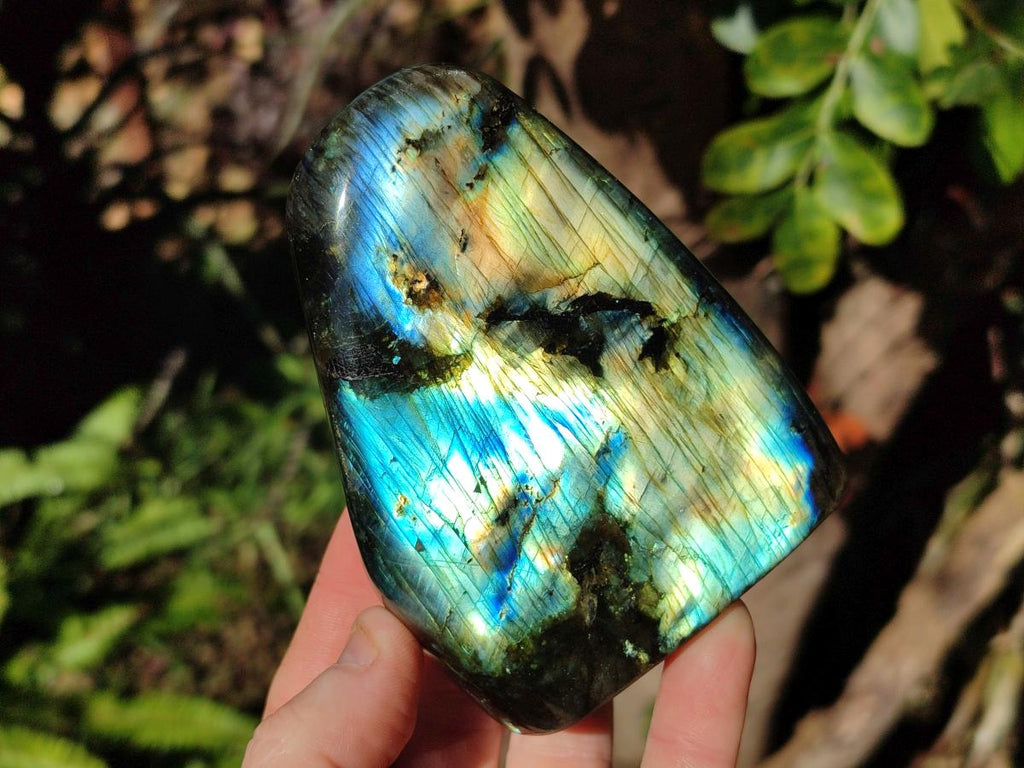 Polished Labradorite Standing Display Pieces  x 4 From Madagascar - Toprock Gemstones and Minerals 