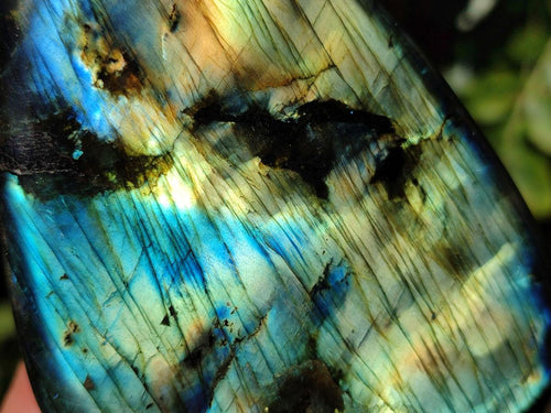 Polished Labradorite Standing Display Pieces  x 4 From Madagascar - Toprock Gemstones and Minerals 
