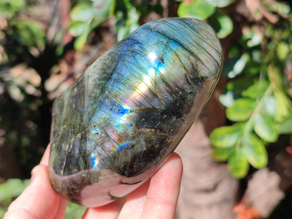 Polished Labradorite Standing Display Pieces  x 4 From Madagascar - Toprock Gemstones and Minerals 