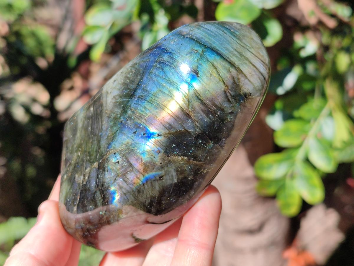 Polished Labradorite Standing Display Pieces  x 4 From Madagascar - Toprock Gemstones and Minerals 