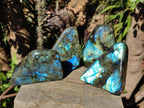 Polished Labradorite Standing Display Pieces  x 4 From Madagascar - Toprock Gemstones and Minerals 