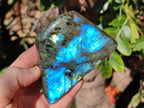 Polished Labradorite Standing Display Pieces  x 4 From Madagascar - Toprock Gemstones and Minerals 