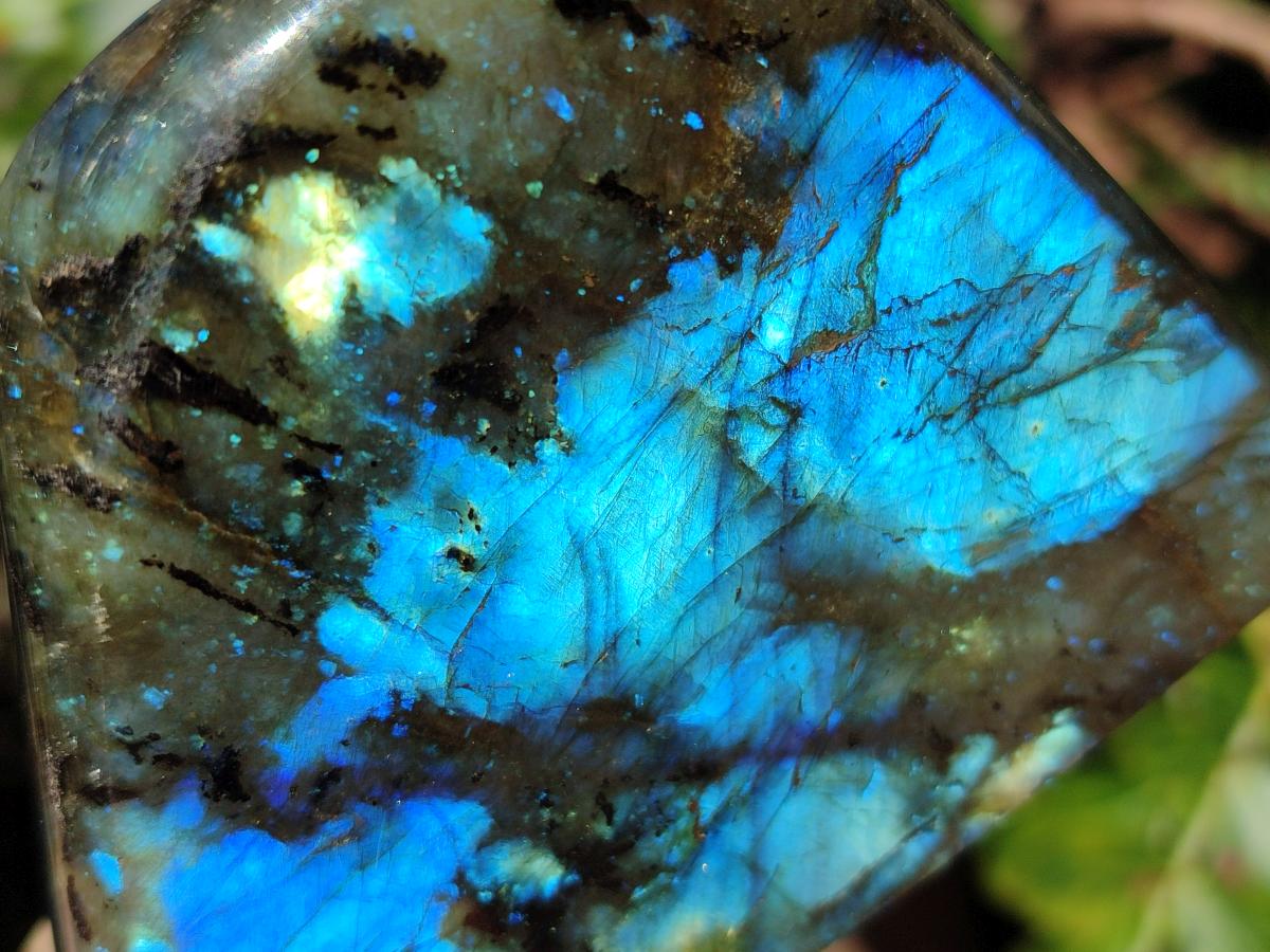 Polished Labradorite Standing Display Pieces  x 4 From Madagascar - Toprock Gemstones and Minerals 
