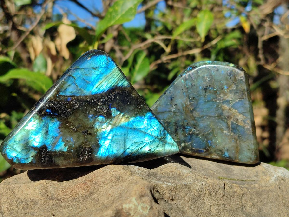 Polished Labradorite Standing Display Pieces  x 4 From Madagascar - Toprock Gemstones and Minerals 