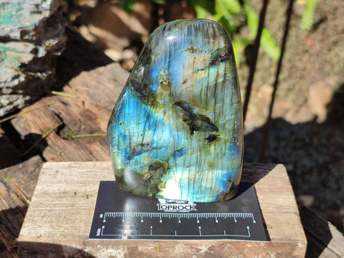 Polished Labradorite Standing Display Pieces  x 4 From Madagascar - Toprock Gemstones and Minerals 