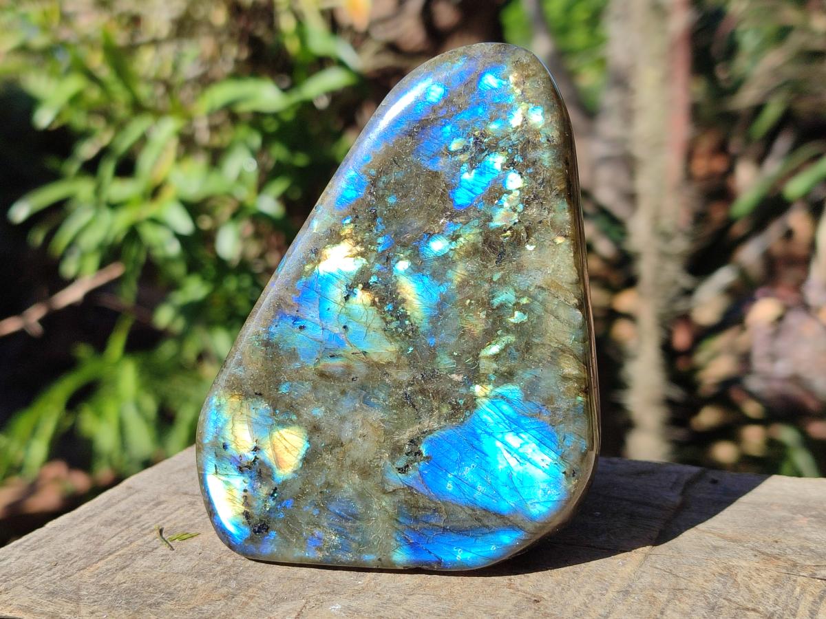 Polished Labradorite Standing Display Pieces  x 4 From Madagascar - Toprock Gemstones and Minerals 