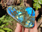 Polished Labradorite Standing Display Pieces  x 4 From Madagascar - Toprock Gemstones and Minerals 