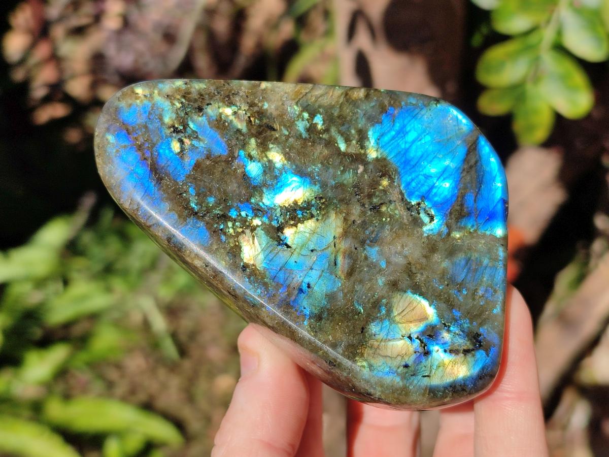 Polished Labradorite Standing Display Pieces  x 4 From Madagascar - Toprock Gemstones and Minerals 