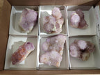 Natural Spirit Amethyst Clusters x 6 From Boekenhouthoek, South Africa - Toprock Gemstones and Minerals 