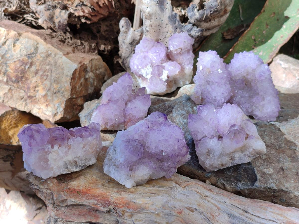 Natural Spirit Amethyst Clusters x 6 From Boekenhouthoek, South Africa - Toprock Gemstones and Minerals 