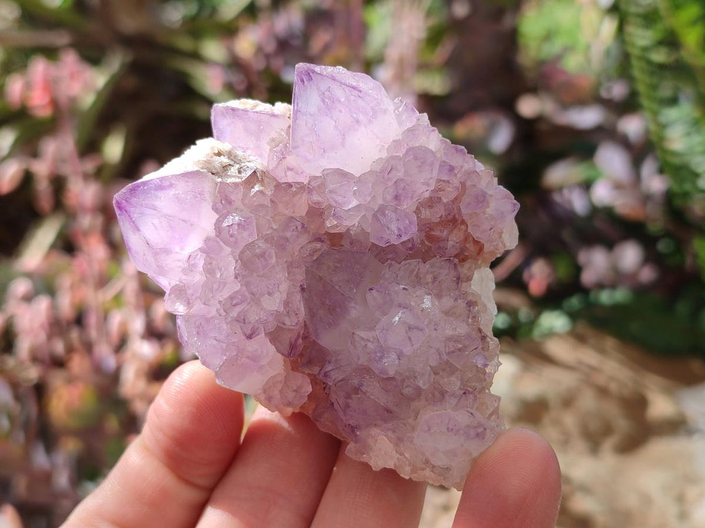 Natural Spirit Amethyst Clusters x 6 From Boekenhouthoek, South Africa - Toprock Gemstones and Minerals 