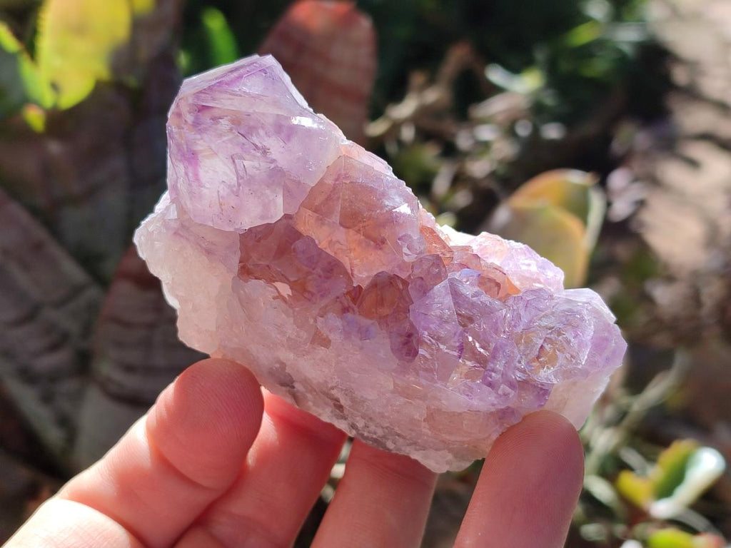 Natural Spirit Amethyst Clusters x 6 From Boekenhouthoek, South Africa - Toprock Gemstones and Minerals 