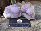 Natural Spirit Amethyst Clusters x 6 From Boekenhouthoek, South Africa - Toprock Gemstones and Minerals 