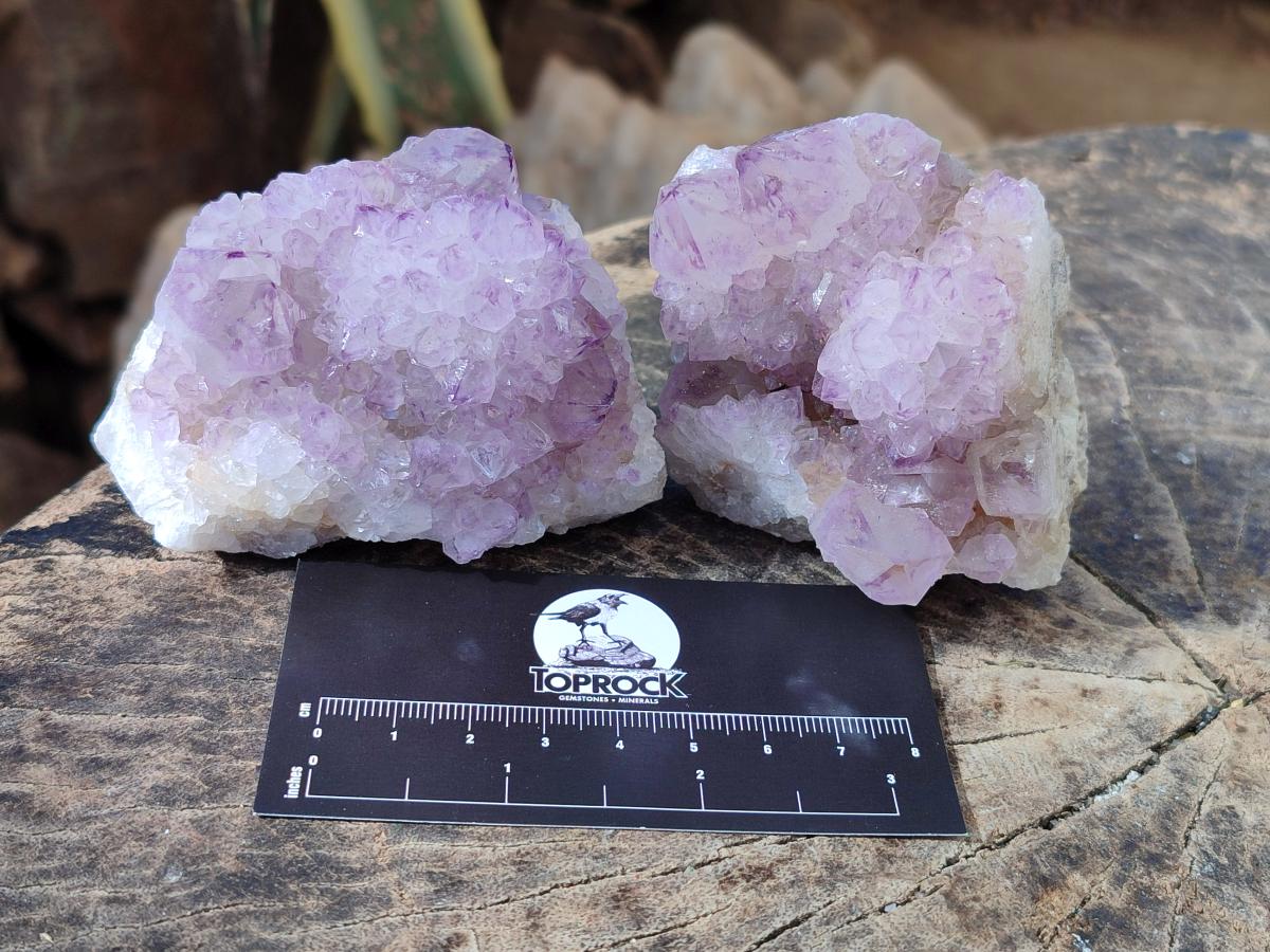 Natural Spirit Amethyst Clusters x 6 From Boekenhouthoek, South Africa - Toprock Gemstones and Minerals 