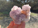 Natural Spirit Amethyst Clusters x 6 From Boekenhouthoek, South Africa - Toprock Gemstones and Minerals 