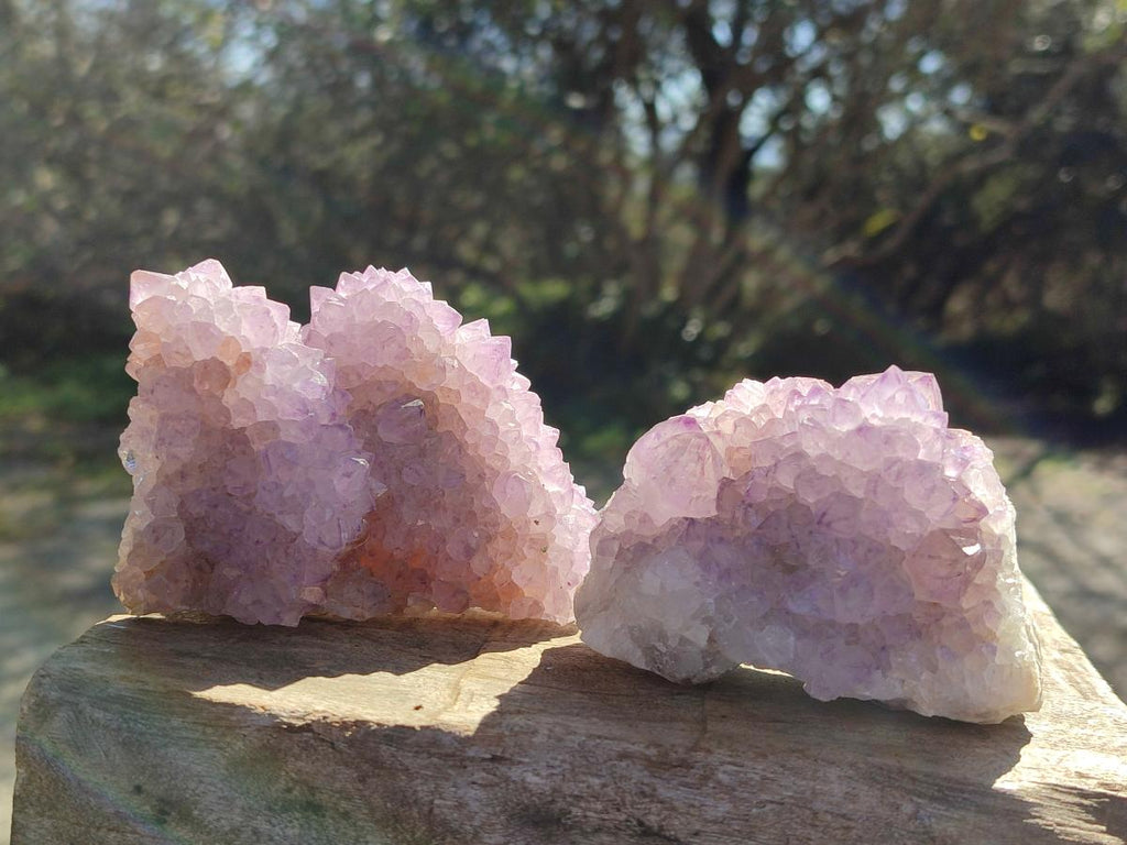 Natural Spirit Amethyst Clusters x 6 From Boekenhouthoek, South Africa - Toprock Gemstones and Minerals 