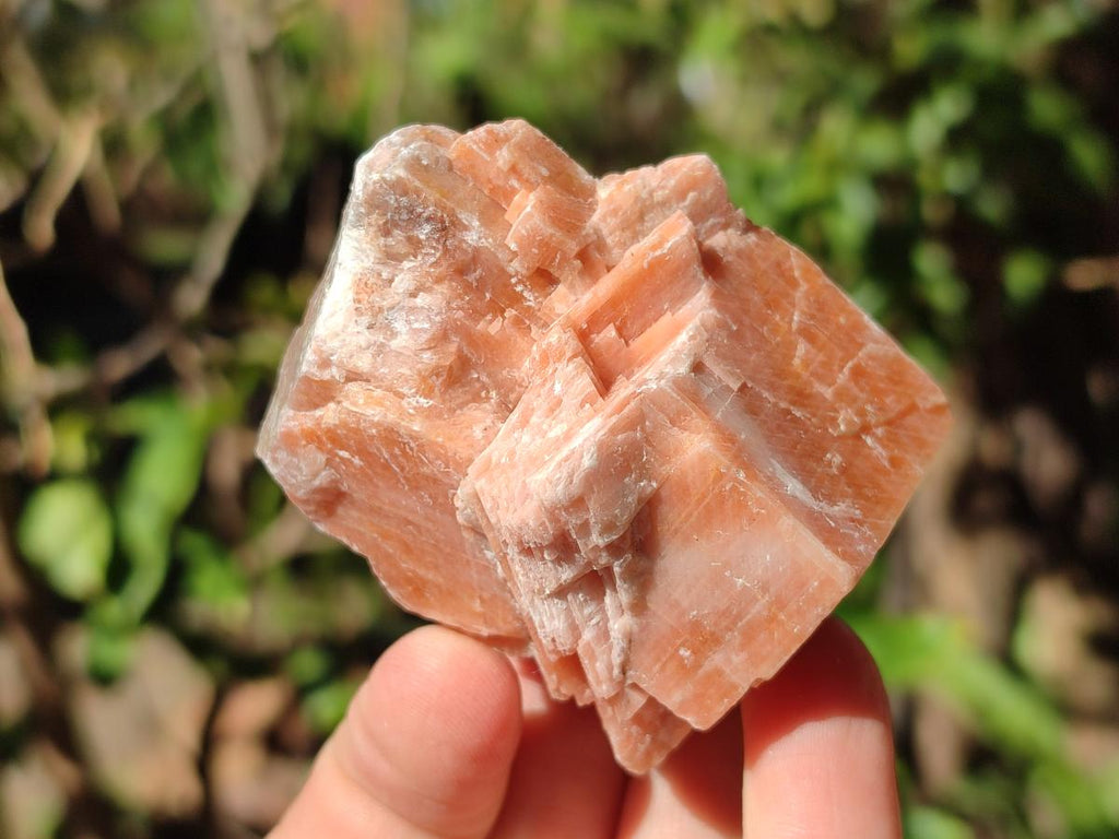 Natural Rhombohedral Sunset Orange Calcite Specimens x 24 From Spitzkop, Namibia - Toprock Gemstones and Minerals 