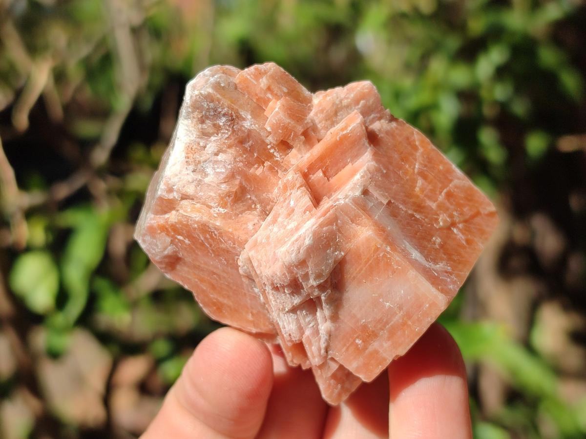Natural Rhombohedral Sunset Orange Calcite Specimens x 24 From Spitzkop, Namibia - Toprock Gemstones and Minerals 