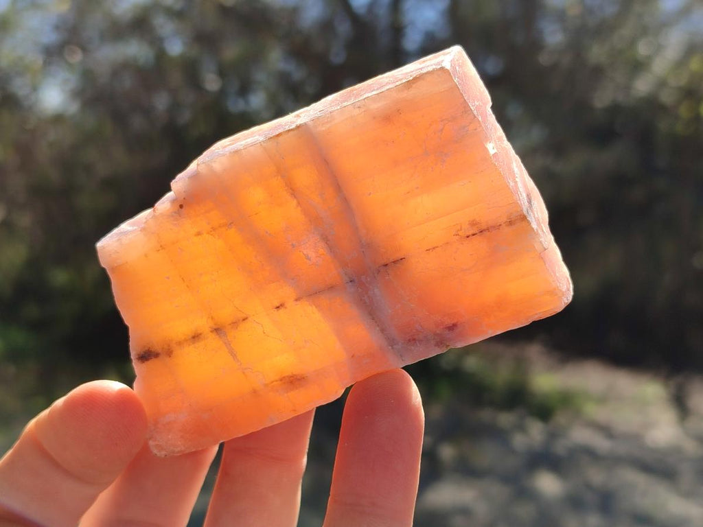 Natural Rhombohedral Sunset Orange Calcite Specimens x 24 From Spitzkop, Namibia - Toprock Gemstones and Minerals 
