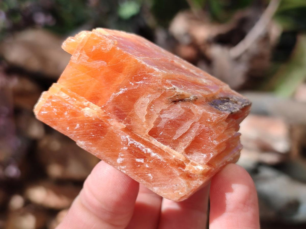 Natural Rhombohedral Sunset Orange Calcite Specimens x 24 From Spitzkop, Namibia - Toprock Gemstones and Minerals 