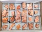 Natural Rhombohedral Sunset Orange Calcite Specimens x 24 From Spitzkop, Namibia - Toprock Gemstones and Minerals 