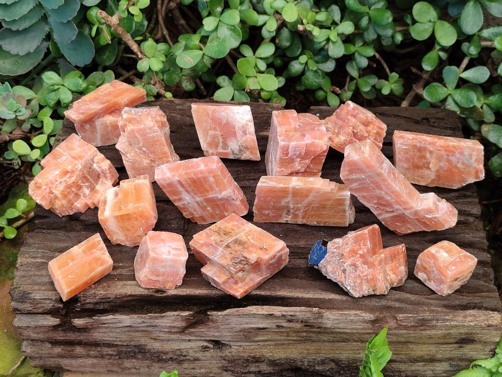 Natural Rhombohedral Sunset Orange Calcite Specimens x 24 From Spitzkop, Namibia - Toprock Gemstones and Minerals 